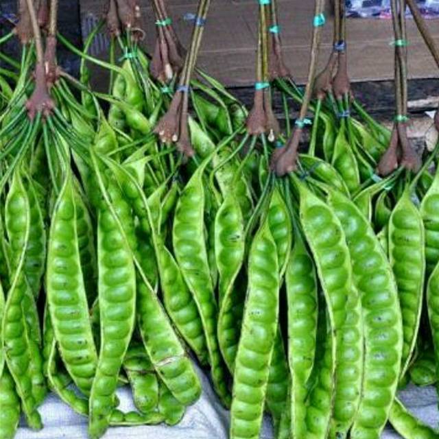 

Petai pete cina jengkol paprika lenca melinjo belimbing wuluh biji