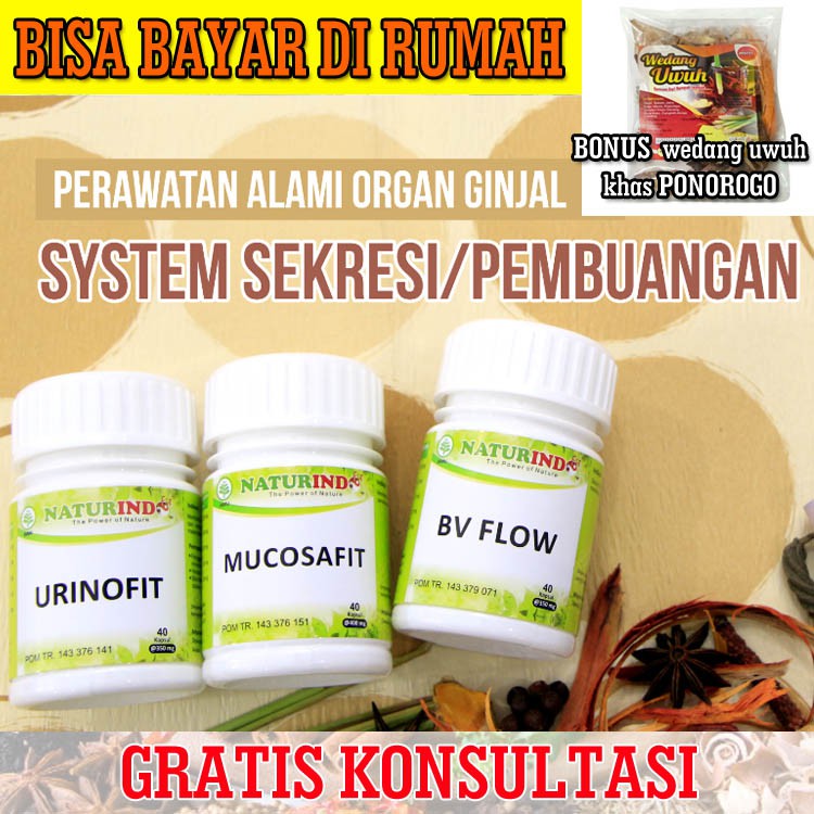 Paket Herbal Pembuangan Sekresi Infeksi Saluran Kemih Ginjal Sehat Buang Air Kencing Lancar Indonesia