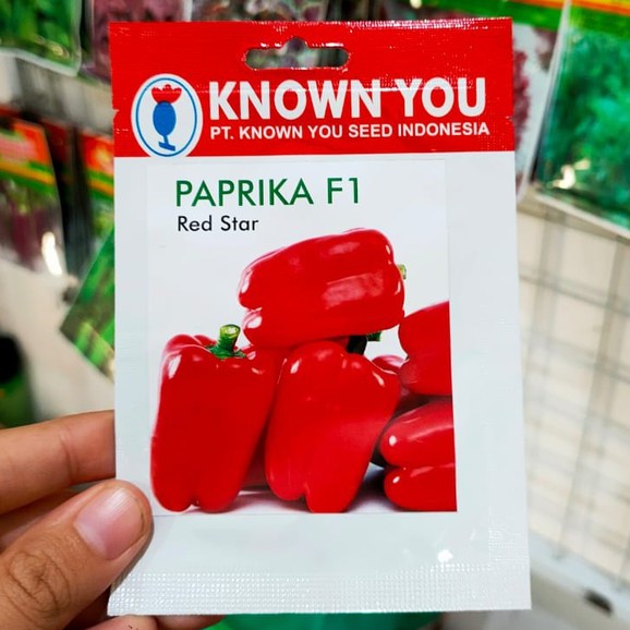 KYS - benih PAPRIKA MERAH RED STAR isi 25 biji - benih paprika - known you seed