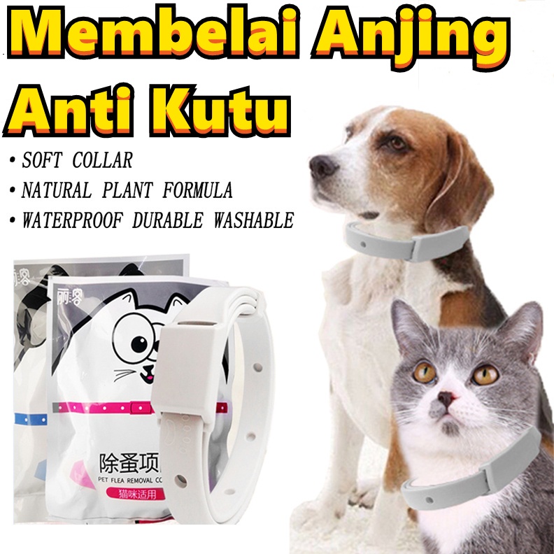 Kalung Kucing Anjing Anti Kutu dan Nyamuk Bahan Karet