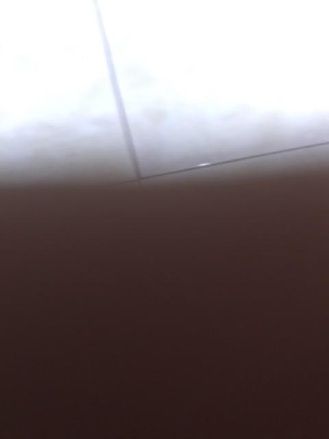 Kemoceng/ Sulak Bulu Ayam Rrt