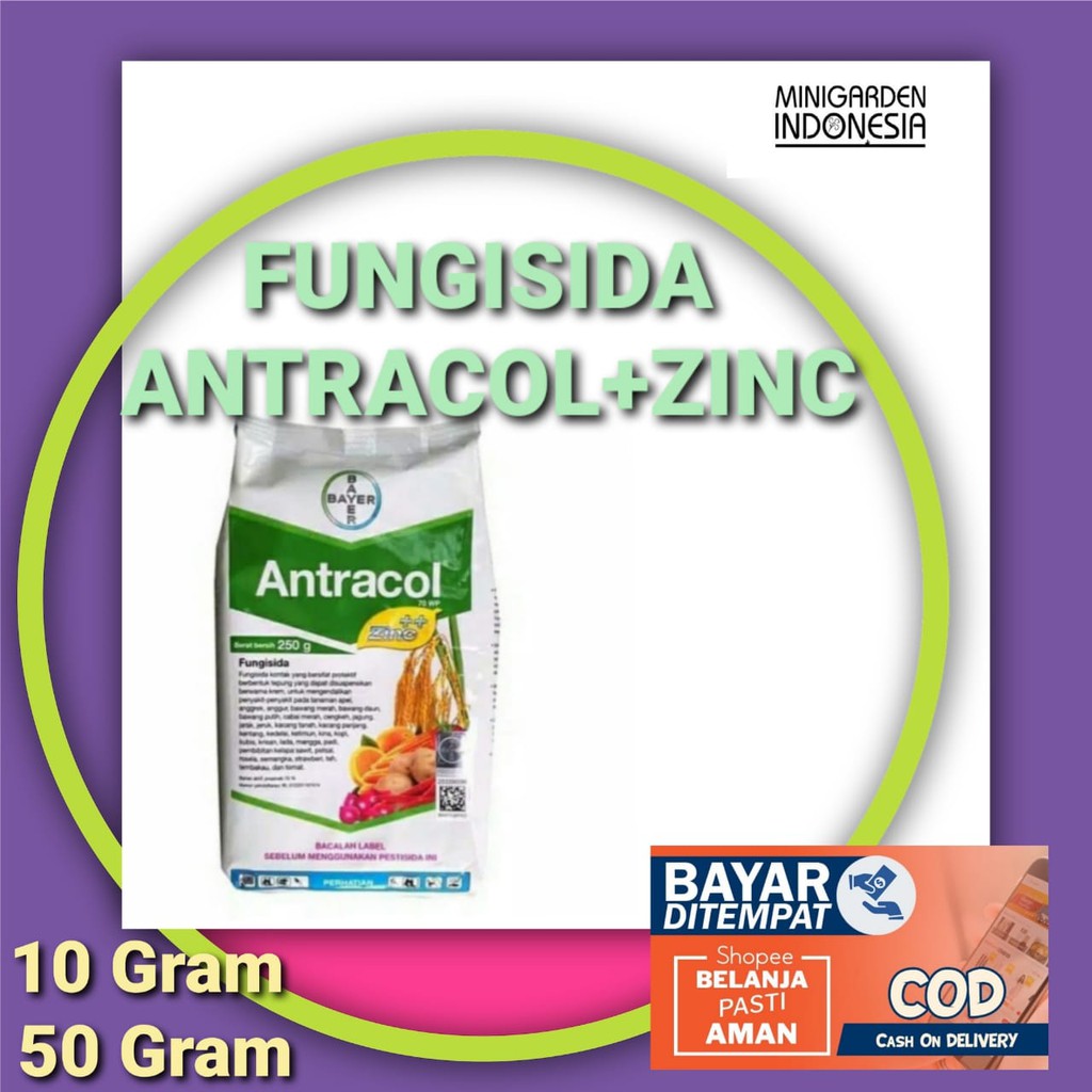 FUNGISIDA ANTRACOL 70 WP + ZINC pengendali pembasmi hama tanaman obat jamur anti busuk buah