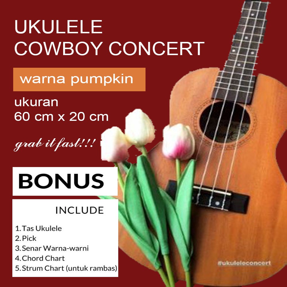 Ukulele Concert Grande BONUS Sarung + Chord n Strum Chart
