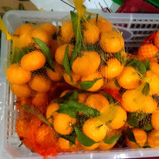 

Buah Jeruk Santang Madu Orange Manis Segar 500gr Jeruk Santang Madu Fresh