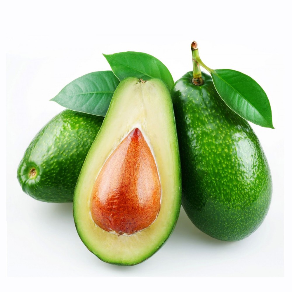 Bibit Alpukat  Miki Asli Unggul/Alpukat Mentega Miki Asli