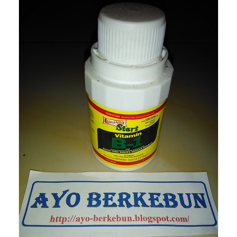 pupuk / liquinox start vitamin / hormon B-1 / B1 / B 1