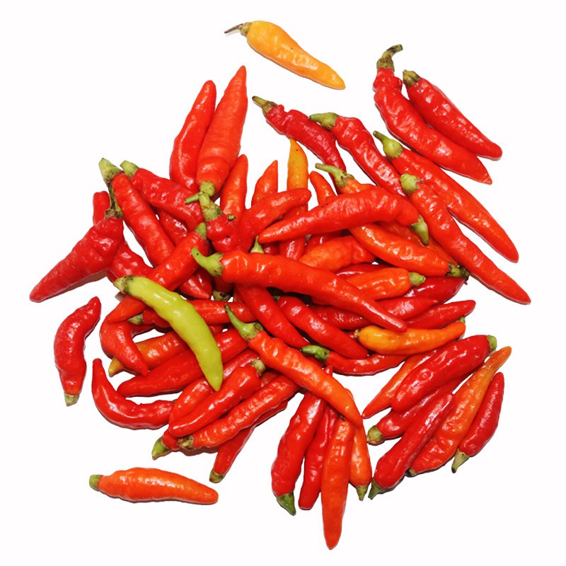 

Cabai Rawit Merah 250gr