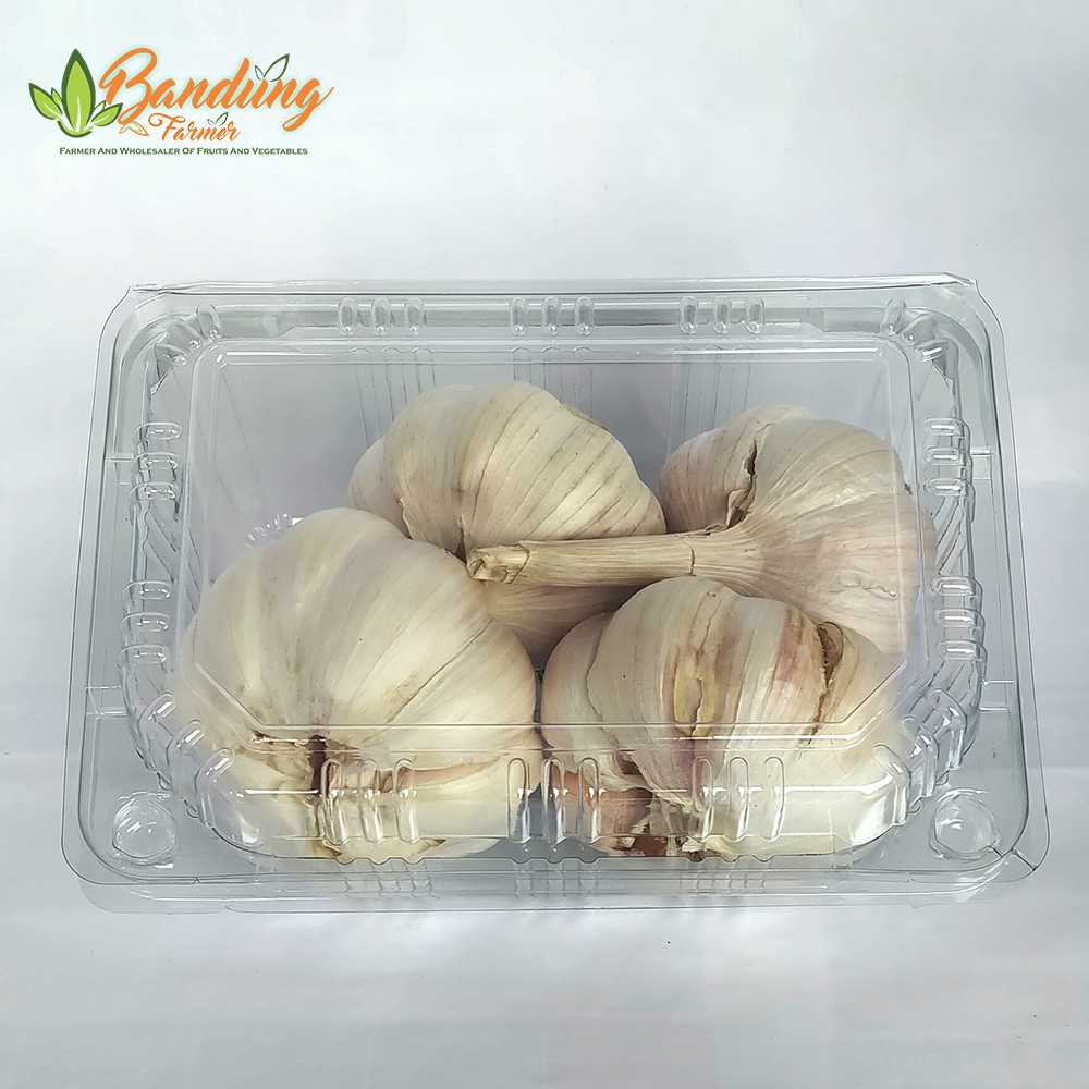 Kirim Cepat Bawang Putih 1 Kg Wilayah Bandung Shopee Indonesia