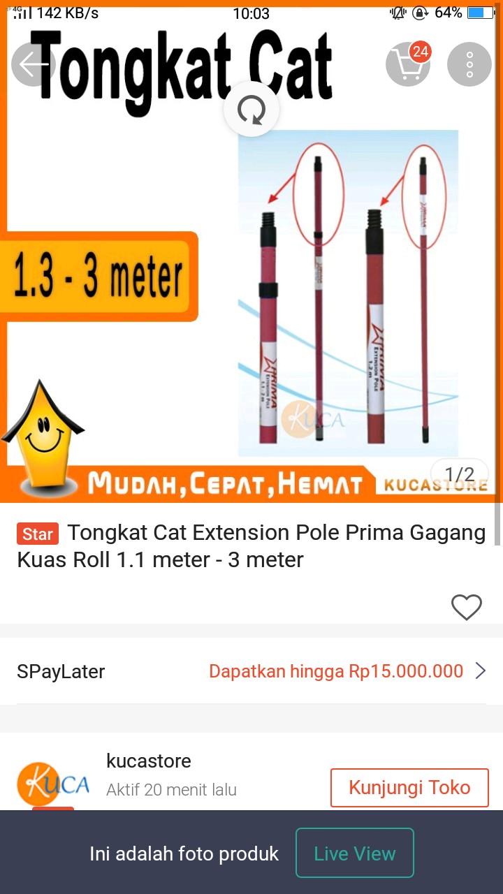 Paku Payung Kecil 1 Dus