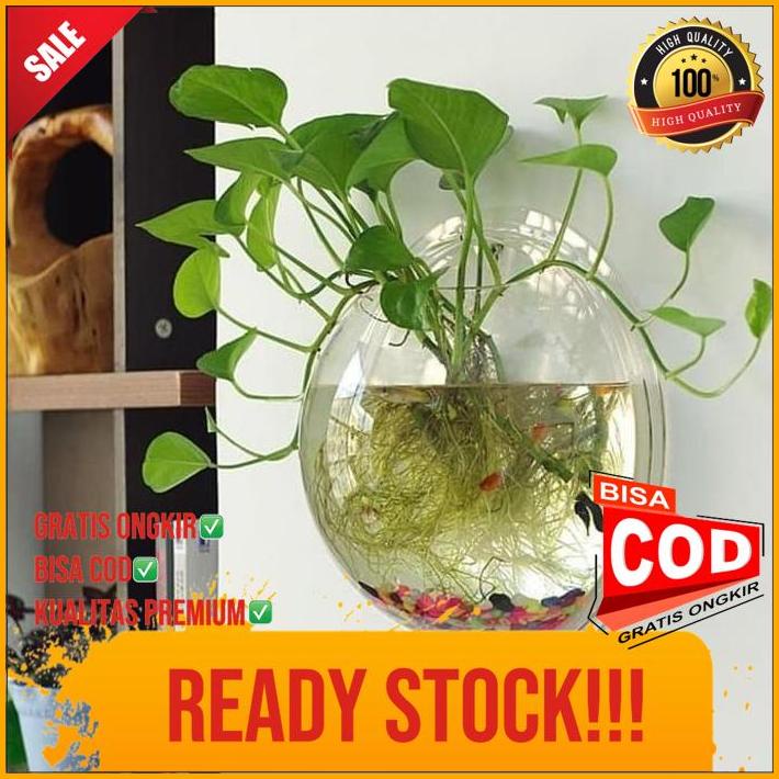 Aquarium Tempel Gantung Dinding Hanging Ikan Cupang Tanaman Hias