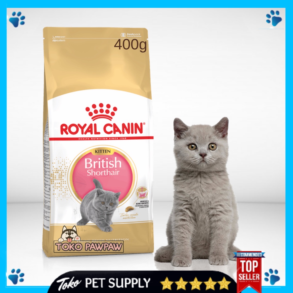 Jual Royal Canin Kitten British Shorthair 400g Makanan Anak Kucing