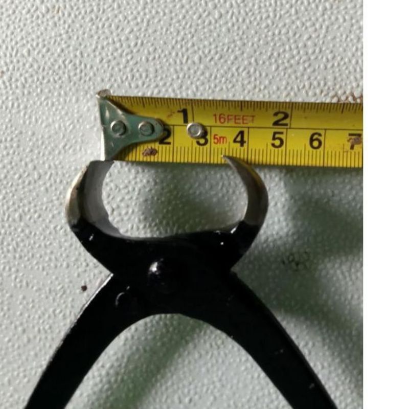 CATOK BONSAI LOKAL istimewa