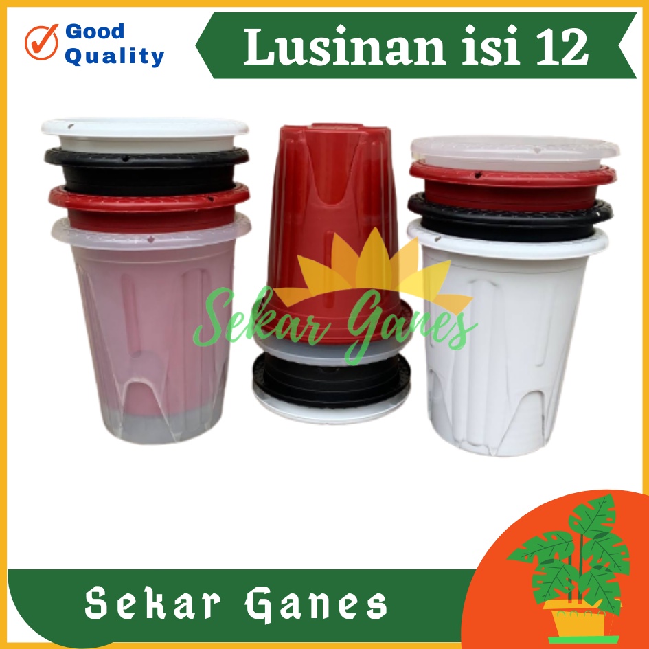 Sekarganes LUSINAN Isi 12 Pcs Pot GE 20 Golden Erna 20 Putih Hitam Transparan Bening Merah Bata pcs Pot Yogap 10 13 15 17 18 19 25 Pot Yogap Bening LUSINAN POT YOGAP MURAH