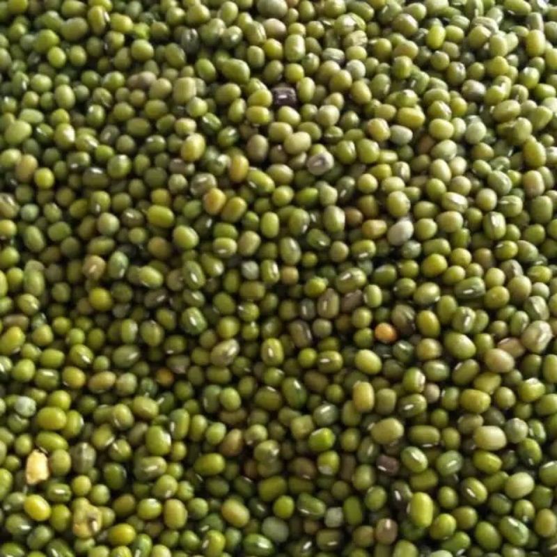 

KACANG HIJAU / MUNG BEAN 500 GRAM