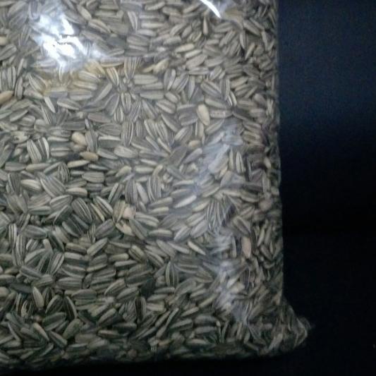 ™ kuaci 1kg/kuaci pakan burung/kuaci burung/kuaci makanan burung - kecil ♜