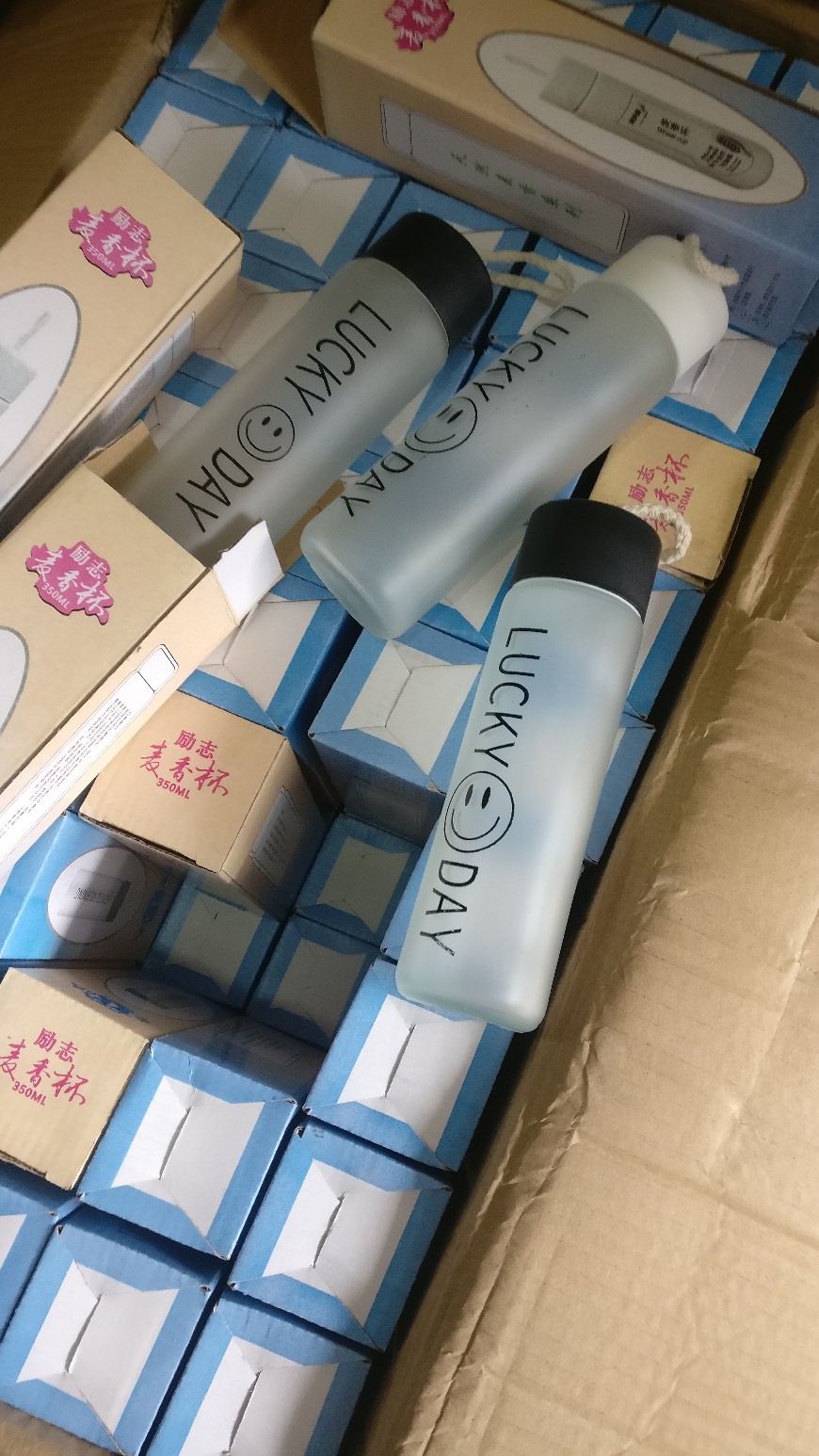 Souvenir Tumbler Kaca Dove Lucky Day 300 Ml