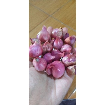 

Bawang merah