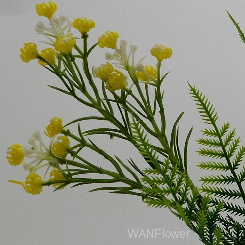 WANFLOWER Daun Pakis BabyBreath X5 * ALL