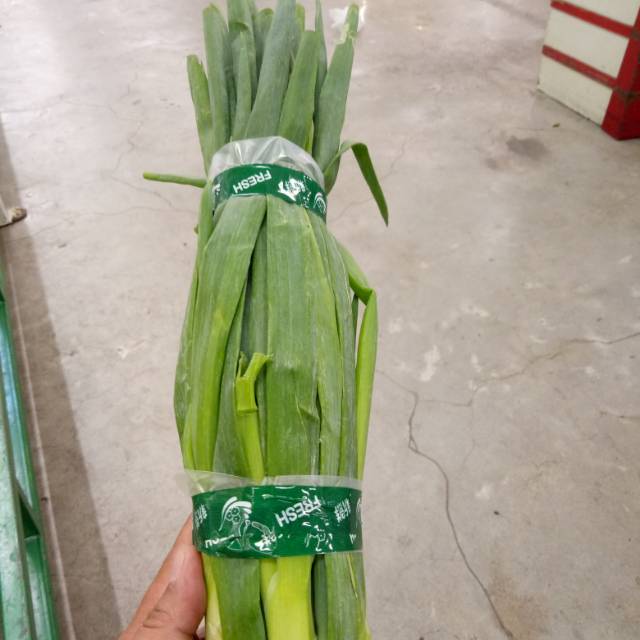

Daun bawang/ikat