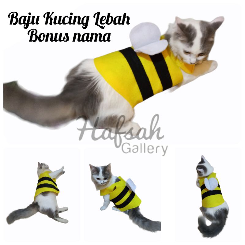 Baju pakaian anabul kucing aksesoris hiasan hewan peliharaan model lebah lucu unik BONUS nama