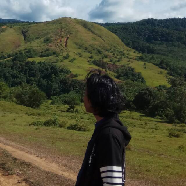 j.halim.nas