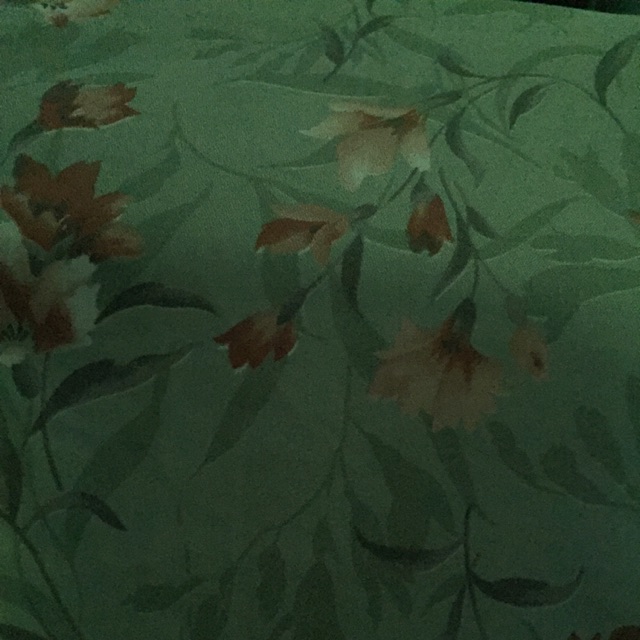ananafisa01