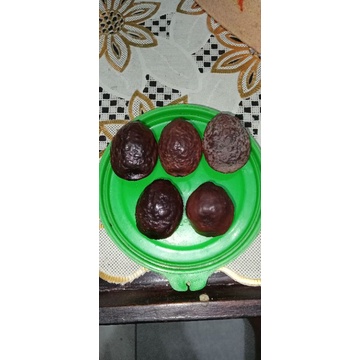 MUNCANG/KEMIRI ADU JAYANTI PAIT, JAYANTI DUKUN, JALIM BUSER (PAKET KOJO)