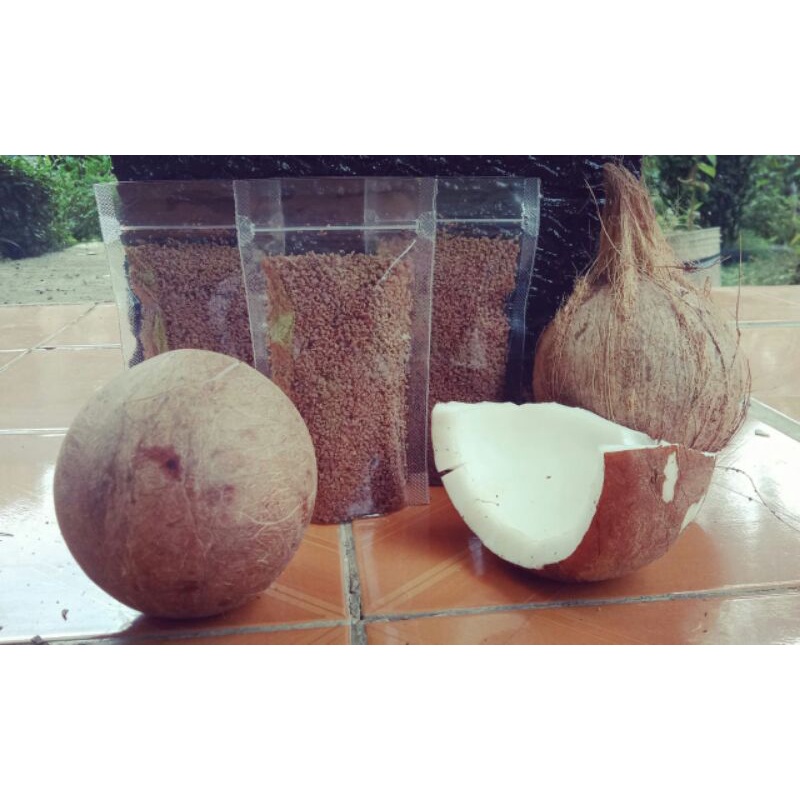 

GALENO KELAPA