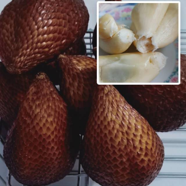 

SALAK MANIS HARGA PER KILO