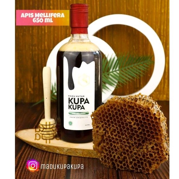

Madu Hutan Kupa Kupa