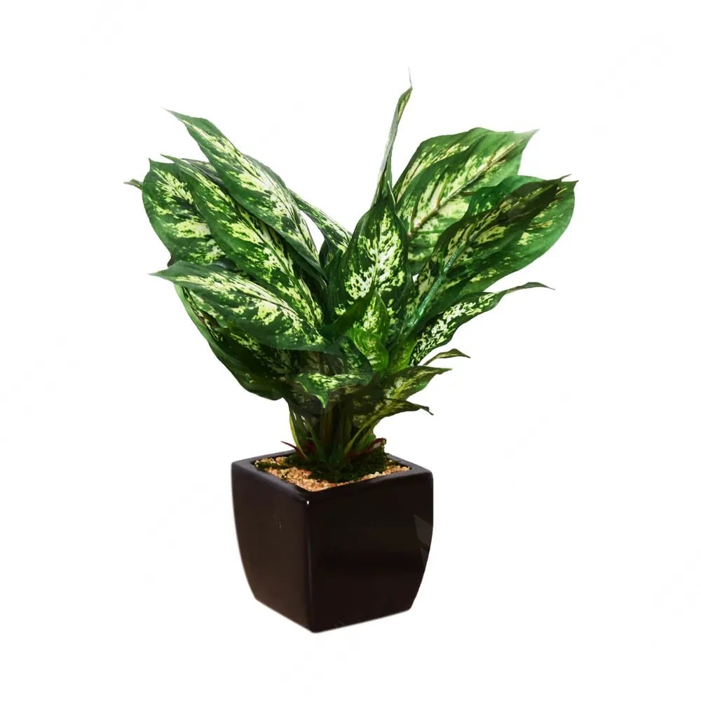 ACE Tanaman Artifisial Dieffenbachia Dengan Pot SKU 267987