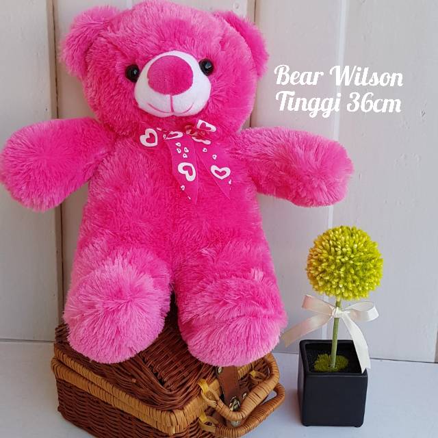 Wilson bear