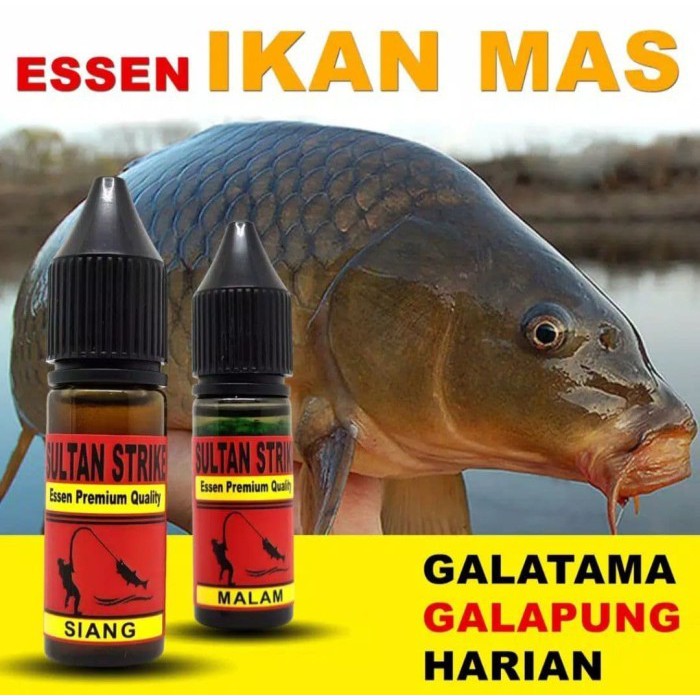 Strike Sultan Essen Premium biang Mas jagoan galatama/pung atau harian
