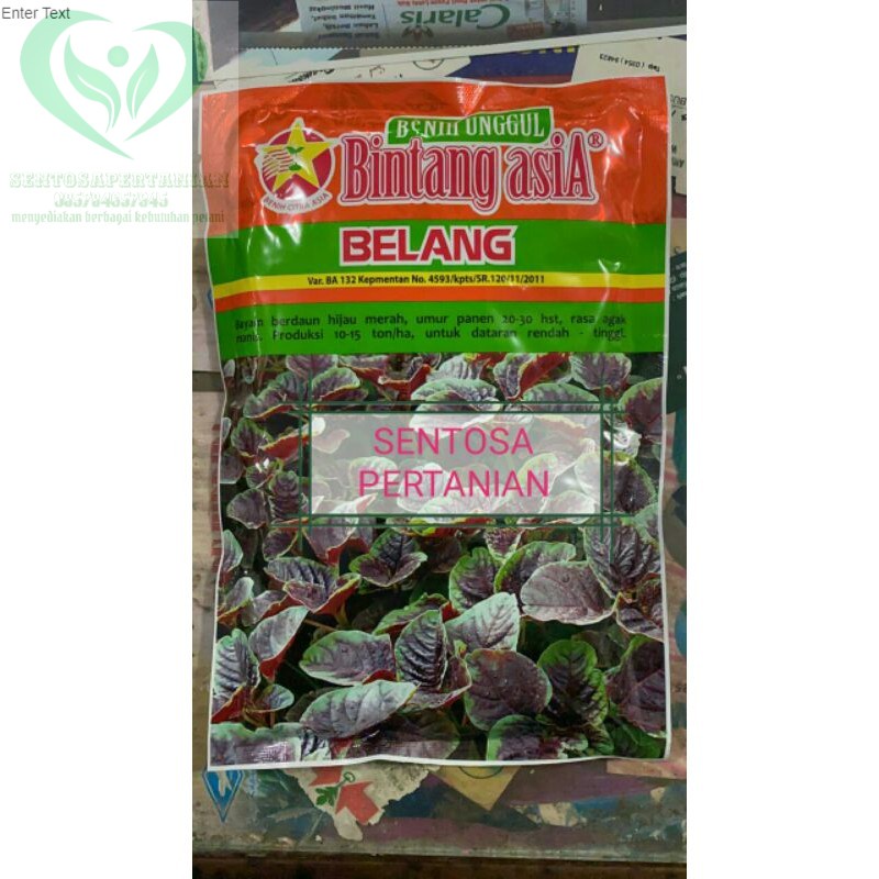 benih bayam berdaun merah dan hijau BELANG 500gram dari BINTANG ASIA