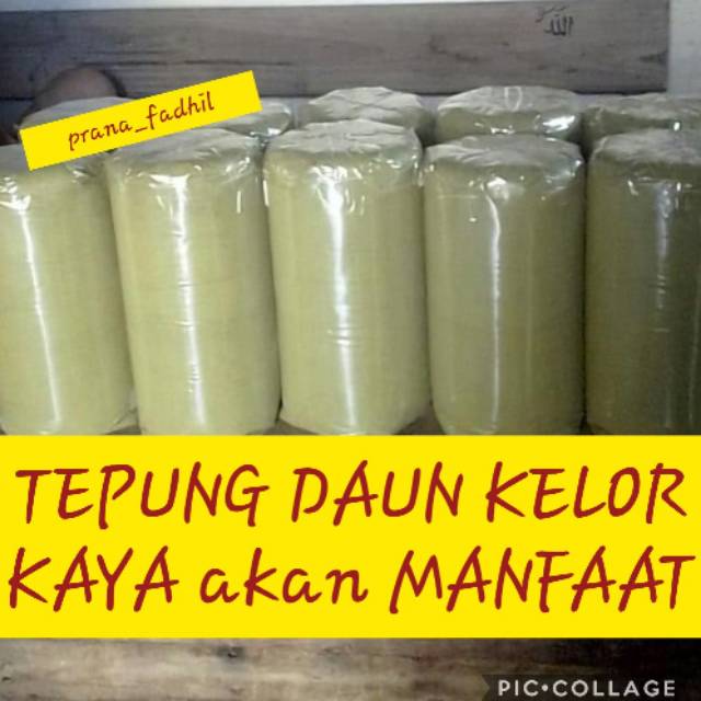 

Tepung Daun Kelor