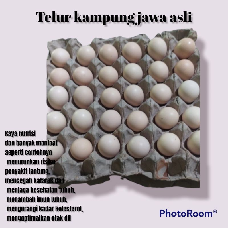 

telur kampung jawa asli