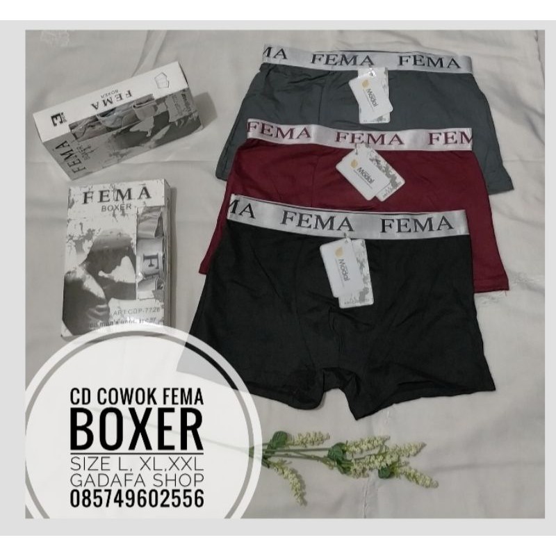 CD Boxer Cowok Fema