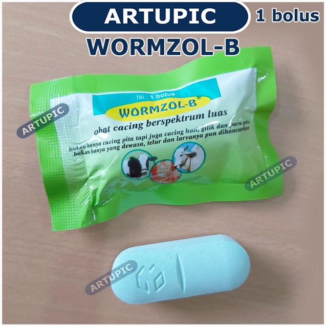 Wormzol Bolus 1 SACHET isi 1 Bolus Obat Cacing Cacingan Pita Sapi Kerbau Kuda Hewan Albendazole