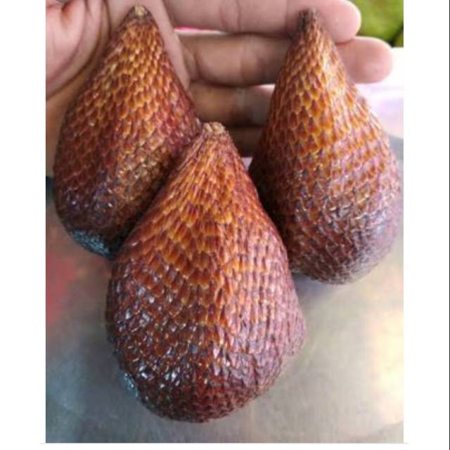

PROMOOOOOOO Salak pondoh jumboooo|buah segar bandung|nuri fruits|1kg|salak manis|salak pondoh