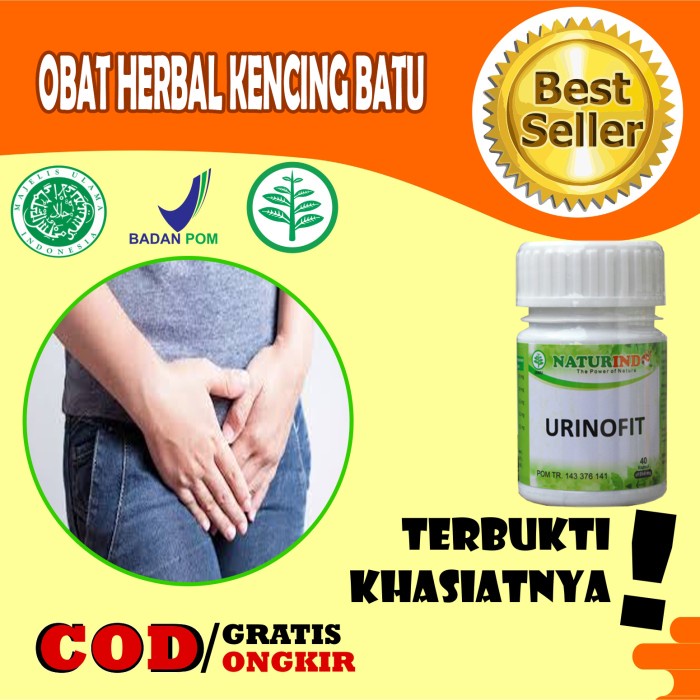 Obat Herbal Kencing Batu Ginjal Naturindo URINOFIT Manjur BPOM - batu ginjal