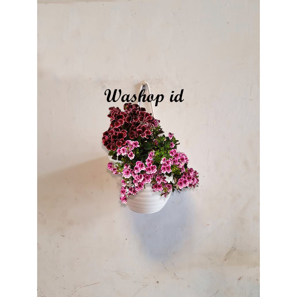 Standing Pot Single Besi Model Gantung Dudukan Pot Stand Pot isi 1 Rak Tanaman Hias Minimalis Murah