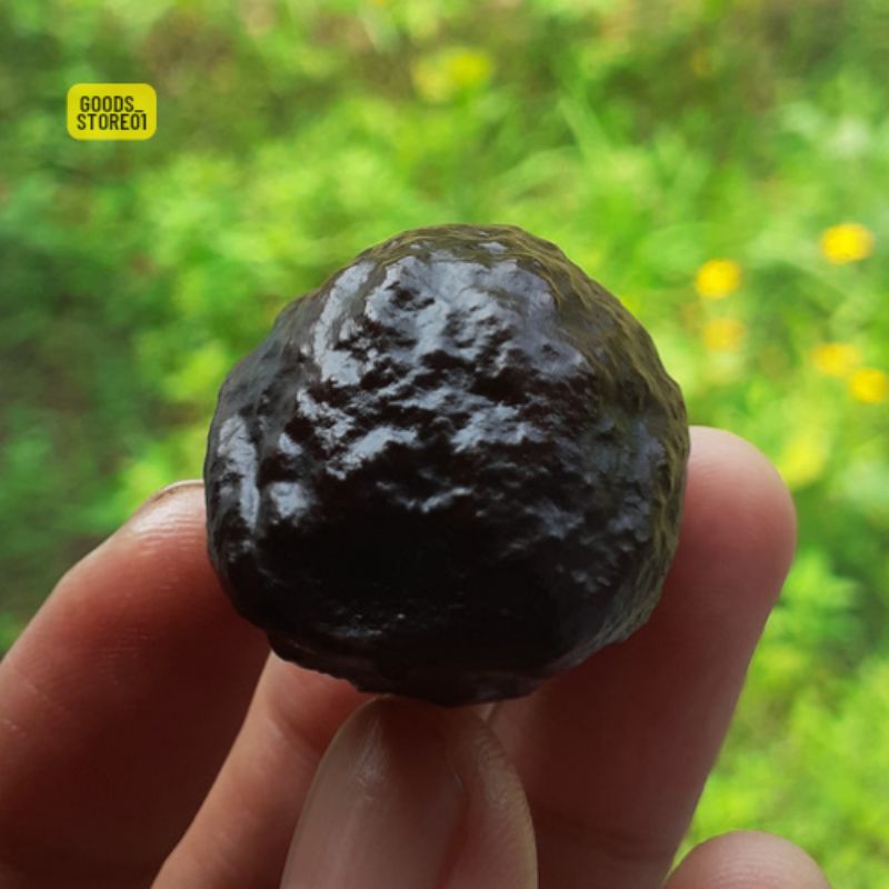 muncang adu jayanti kobra jabra ori garut jawa jalim eti yanti 4g md
