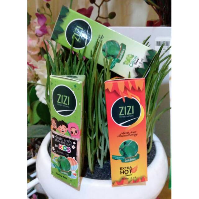 Zizi minyak angin aromatherapy 8ml