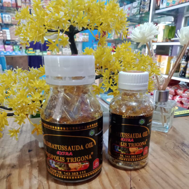 HABBATUSSAUDA | TRIGONA