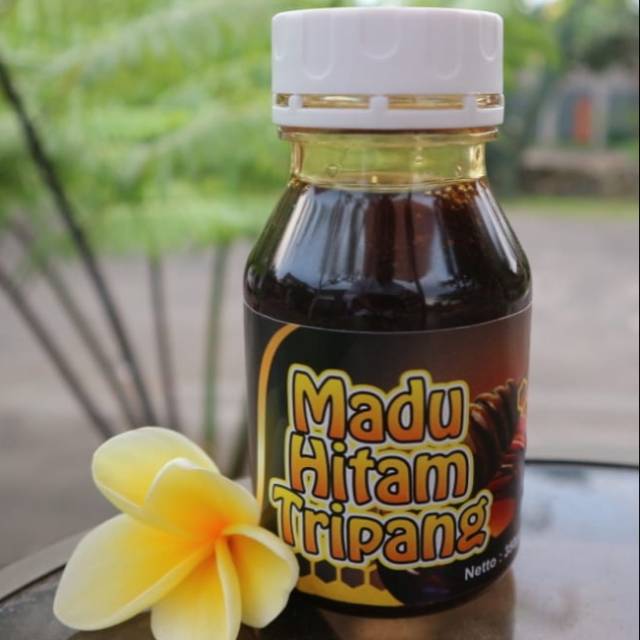 Madu Hitam Tripang Obat Jantung Koroner