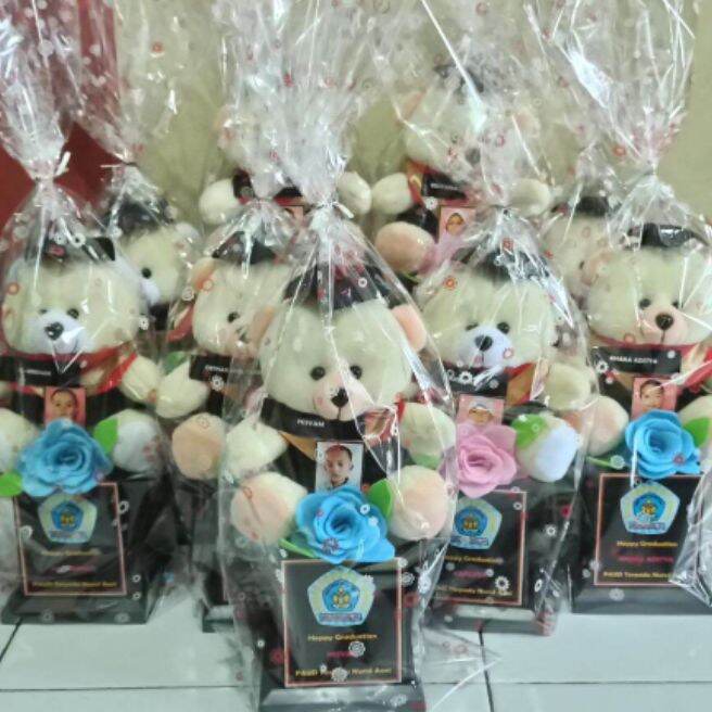Piala Boneka Wisuda Free Plastik Parcel, logo dan Nama / Piala Boneka wisuda Anak TK / Hampers Wisud
