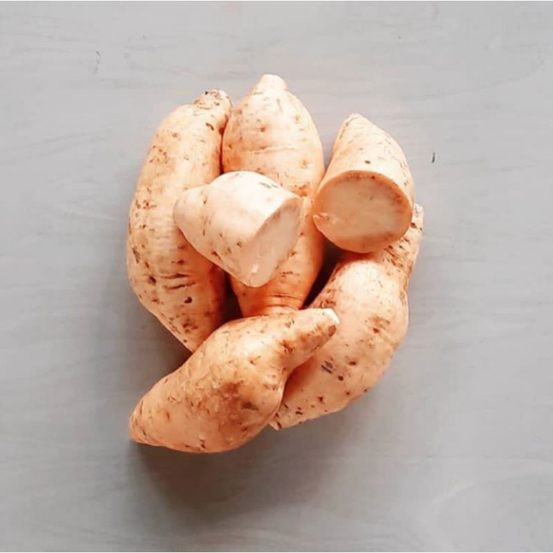 

UBI CILEMBU / UBI MADU - 800 GR