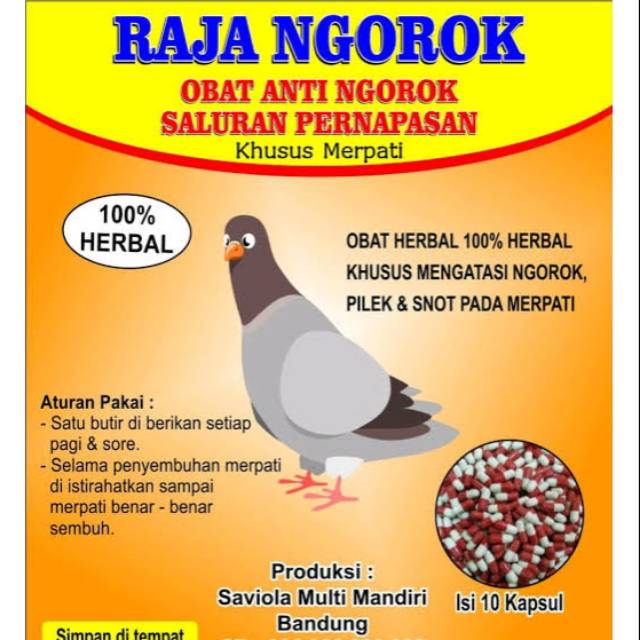 RAJA NGOROK KAPSUL OBAT HERBAL SNOT PILEK NGOROK SALURAN PERNAFASAN MERPATI