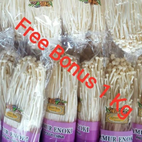 

Jamur Enoki | Mushroom Enoki + Gratis Bonus