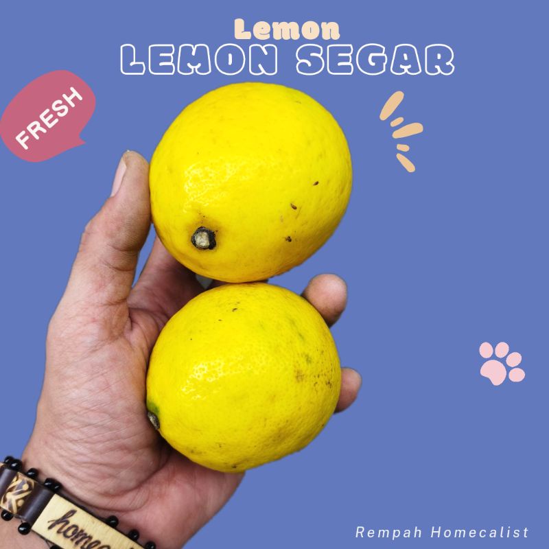 Jeruk Lemon Segar